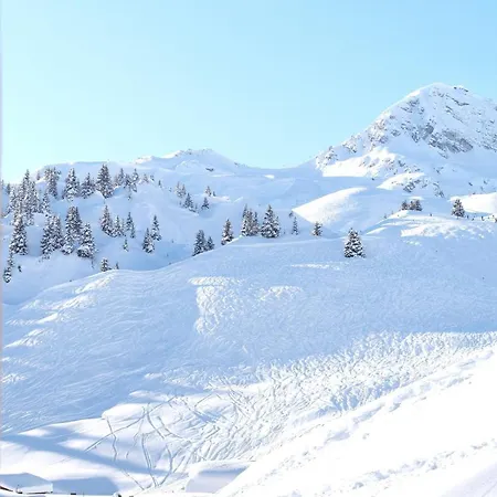 Dietrich Apartamento